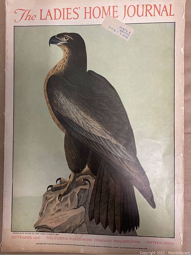 Lot #55 (1 of 10)