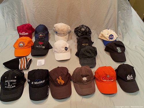 Lot #134 (1 of 13)