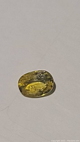Lot #15 (1 of 7)