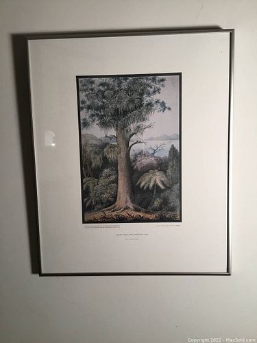 Lot #908 (1 of 10)