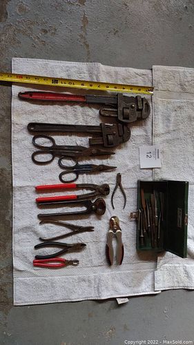 Lot #12 (1 of 5)