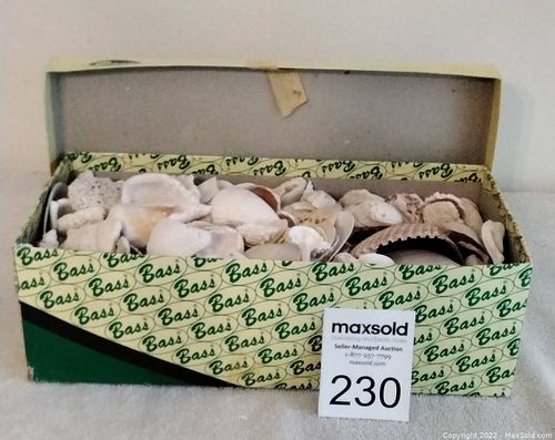 Lot #230 (1 of 2)