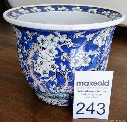 Lot #243 (1 of 3)