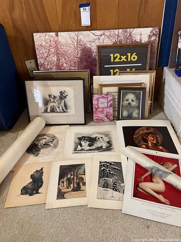 Lot #53 (1 of 36)