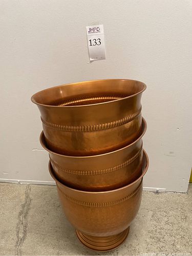 Lot #133 (1 of 3)