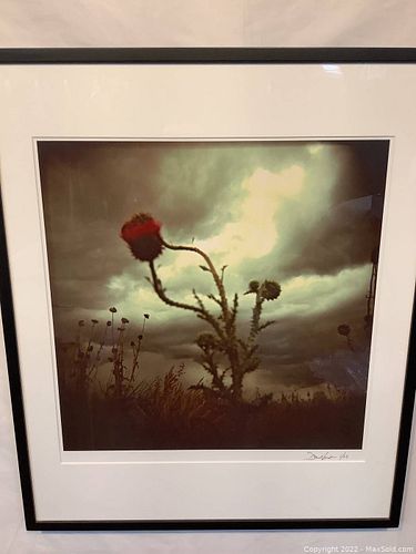 Lot #960 (1 of 2)