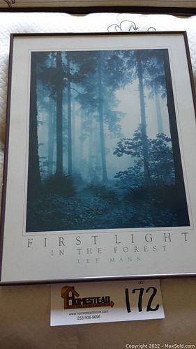 Lot #172 (1 of 4)