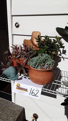 Lot #162 (1 of 4)