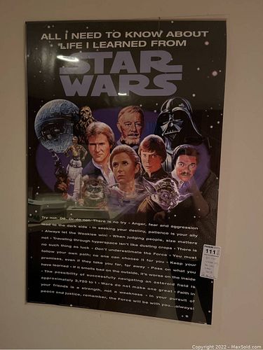 Lot #111 (1 of 9)