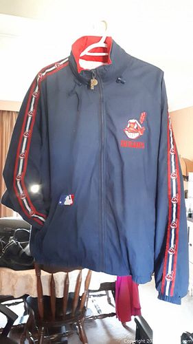 Lot #48 (1 of 18)