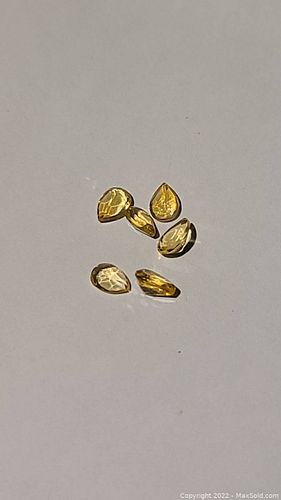 Lot #24 (1 of 8)