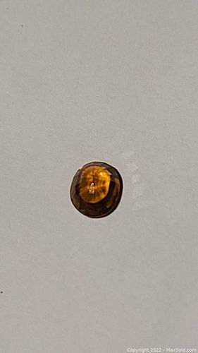 Lot #28 (1 of 8)
