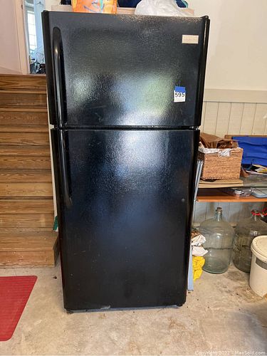 Lot #595 (1 of 2)