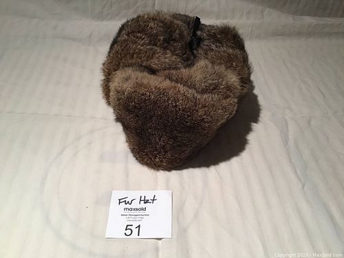 Lot #51 (1 of 7)