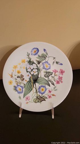 Lot #51 (1 of 1)