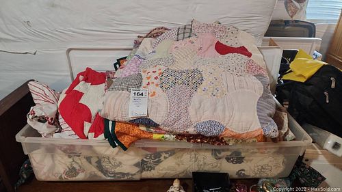 Lot #164 (1 of 6)