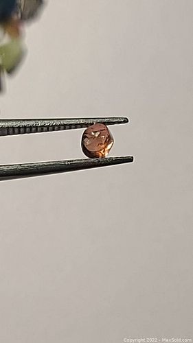 Lot #20 (1 of 7)