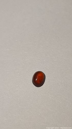 Lot #32 (1 of 6)