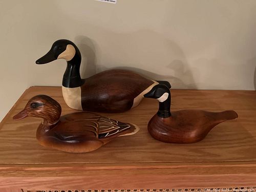 Lot #456 (1 of 9)