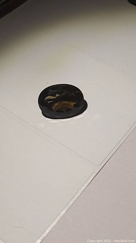 Lot #31 (1 of 9)