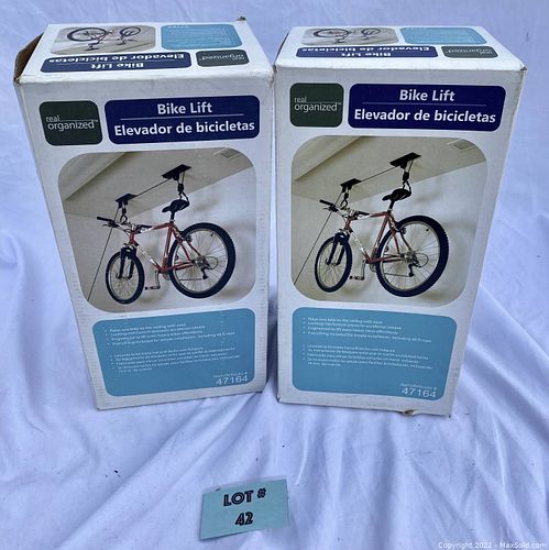 Lot #42 (1 of 4)
