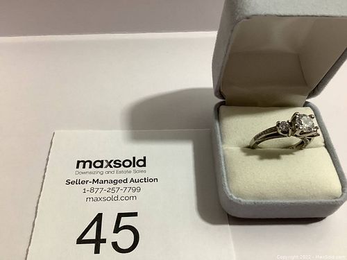 Lot #45 (1 of 6)