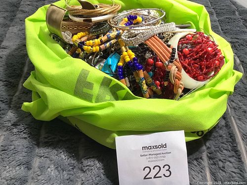 Lot #223 (1 of 9)