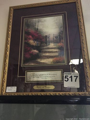 Lot #517 (1 of 10)