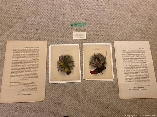 Lot #437 (1 of 17)