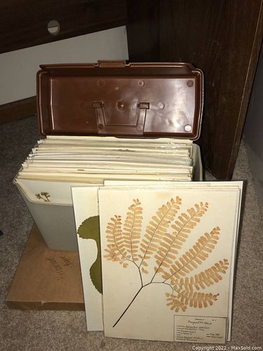 Lot #465 (1 of 9)