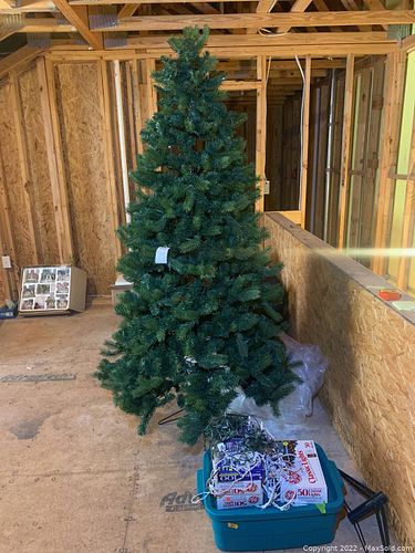 Lot #318 (1 of 8)