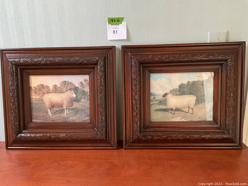 Lot #81 (1 of 13)