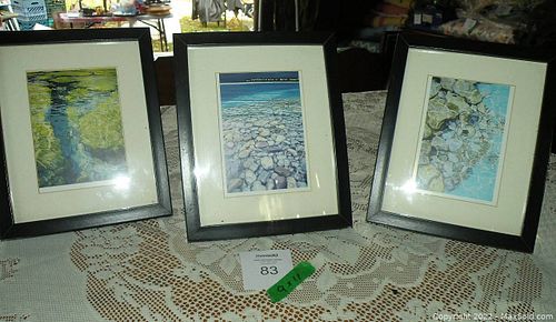 Lot #83 (1 of 5)