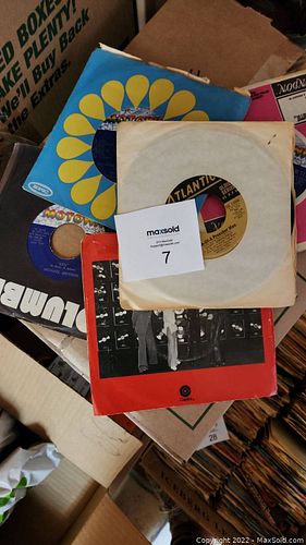 Lot #7 (1 of 6)