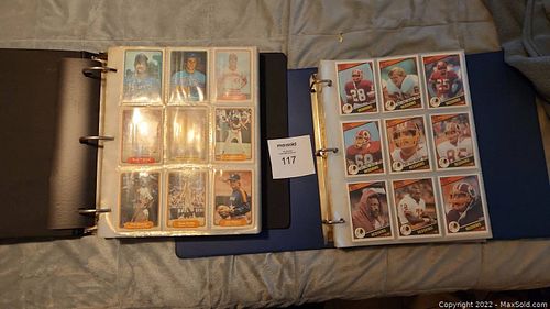 Lot #117 (1 of 7)