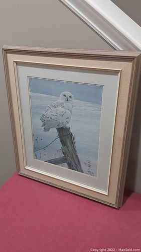 Lot #104 (1 of 3)