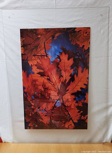 Lot #71 (1 of 2)