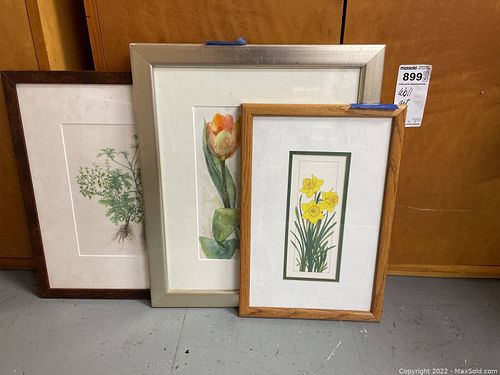 Lot #899 (1 of 11)