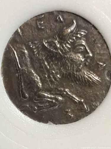 Lot #35 (1 of 3)