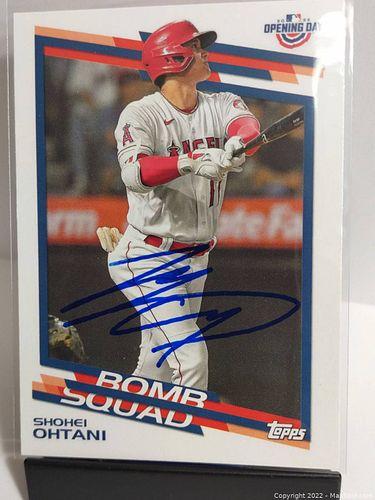 Lot #73 (1 of 2)