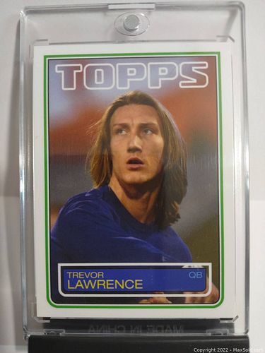 Lot #12 (1 of 2)