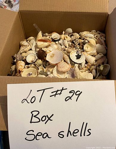 Lot #29 (1 of 1)