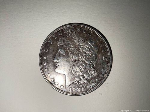 Lot #19 (1 of 2)