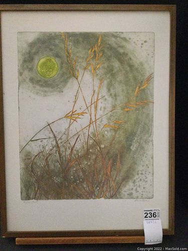 Lot #236 (1 of 6)