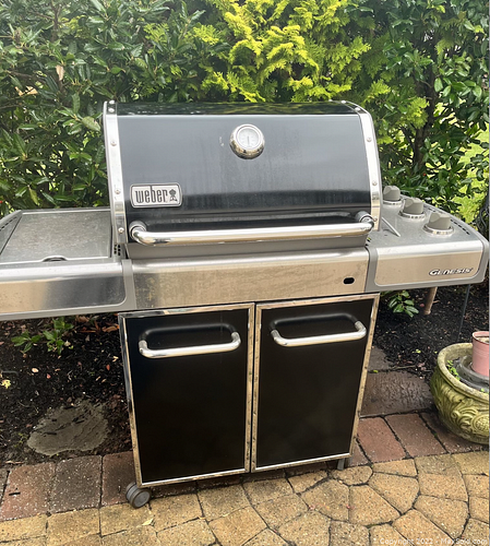 Lot #913 (1 of 15)