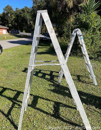 Lot #24 (1 of 3)