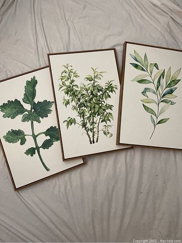 Lot #8 (1 of 6)
