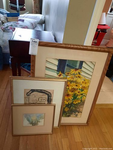 Lot #749 (1 of 17)