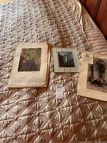 Lot #182 (1 of 11)