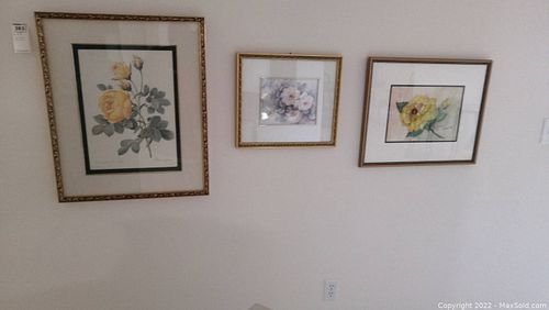Lot #383 (1 of 18)